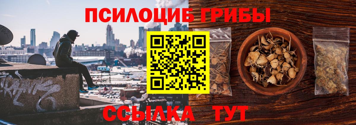 Галлюциногенные грибы GOLDEN TEACHER  Псилоцибиновые грибы мухоморы  Вход с VPN  Боровичи 